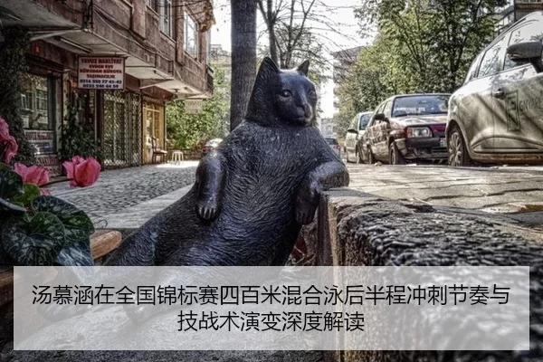 汤慕涵在全国锦标赛四百米混合泳后半程冲刺节奏与技战术演变深度解读